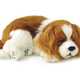 Illustration for article titled Perfect Petzzz Make Me Sad to Even Think About